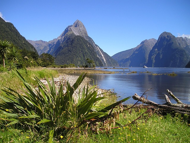 Vacation packages to New Zealand
